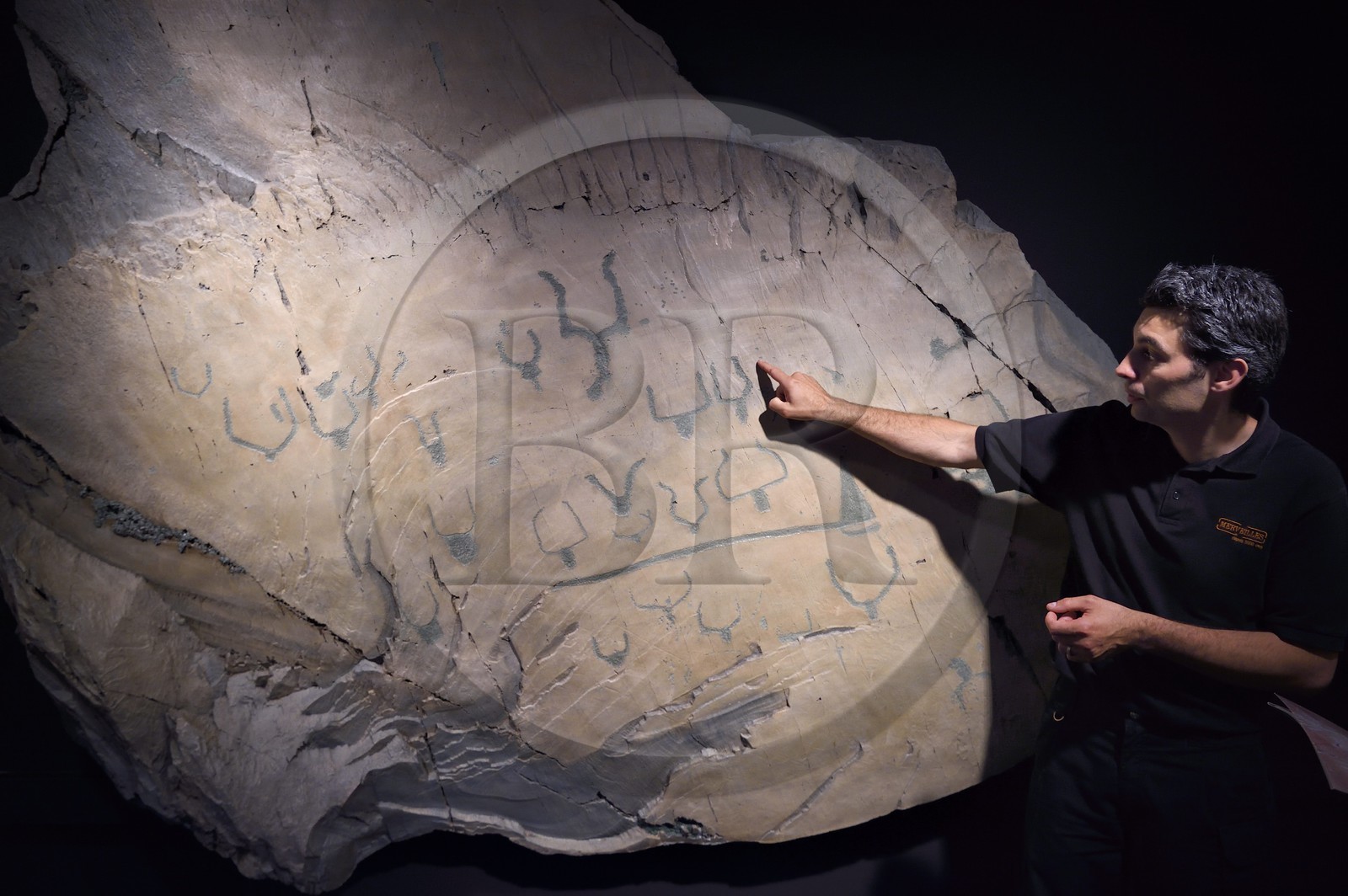 France, Alpes-Maritimes, Roya Valley, Tende, the Musee des Merveilles, molding of a rock engraved with hornlike figures of the Vallee des Merveilles (Valley of Marvels)