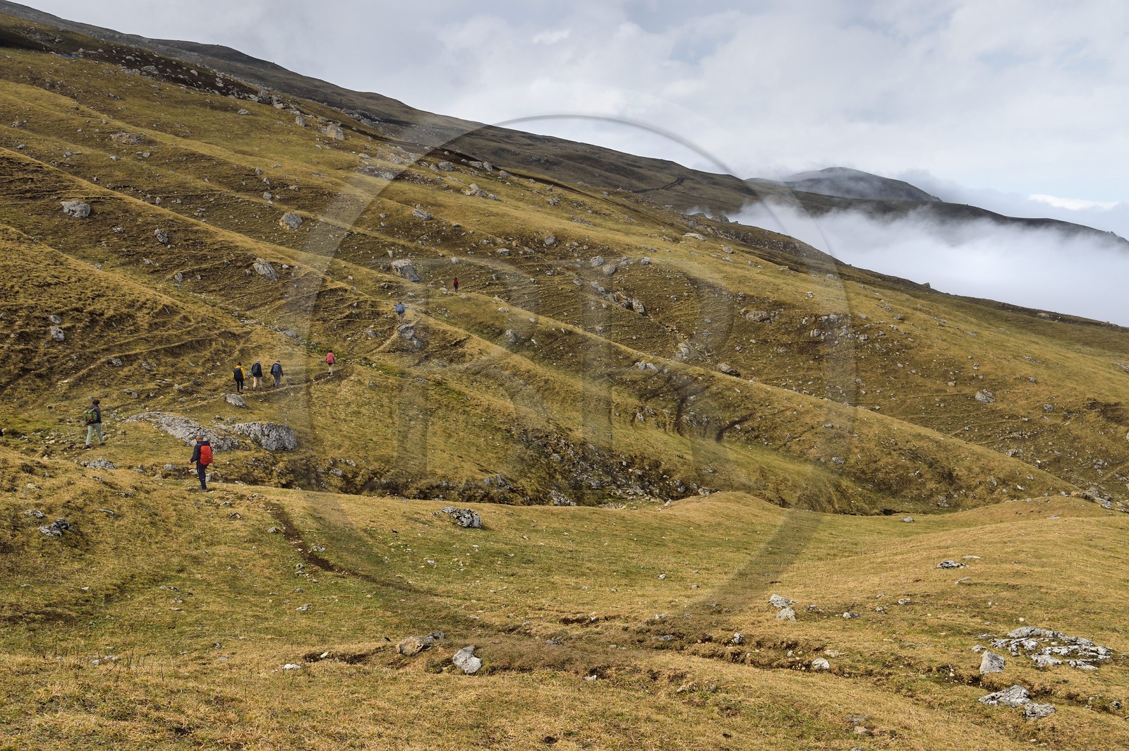 Azerbaijan, Quba (Guba) region, Greater Caucasus mountain range, hiking between the village of Giriz and Laza on Mount Gizilgaya