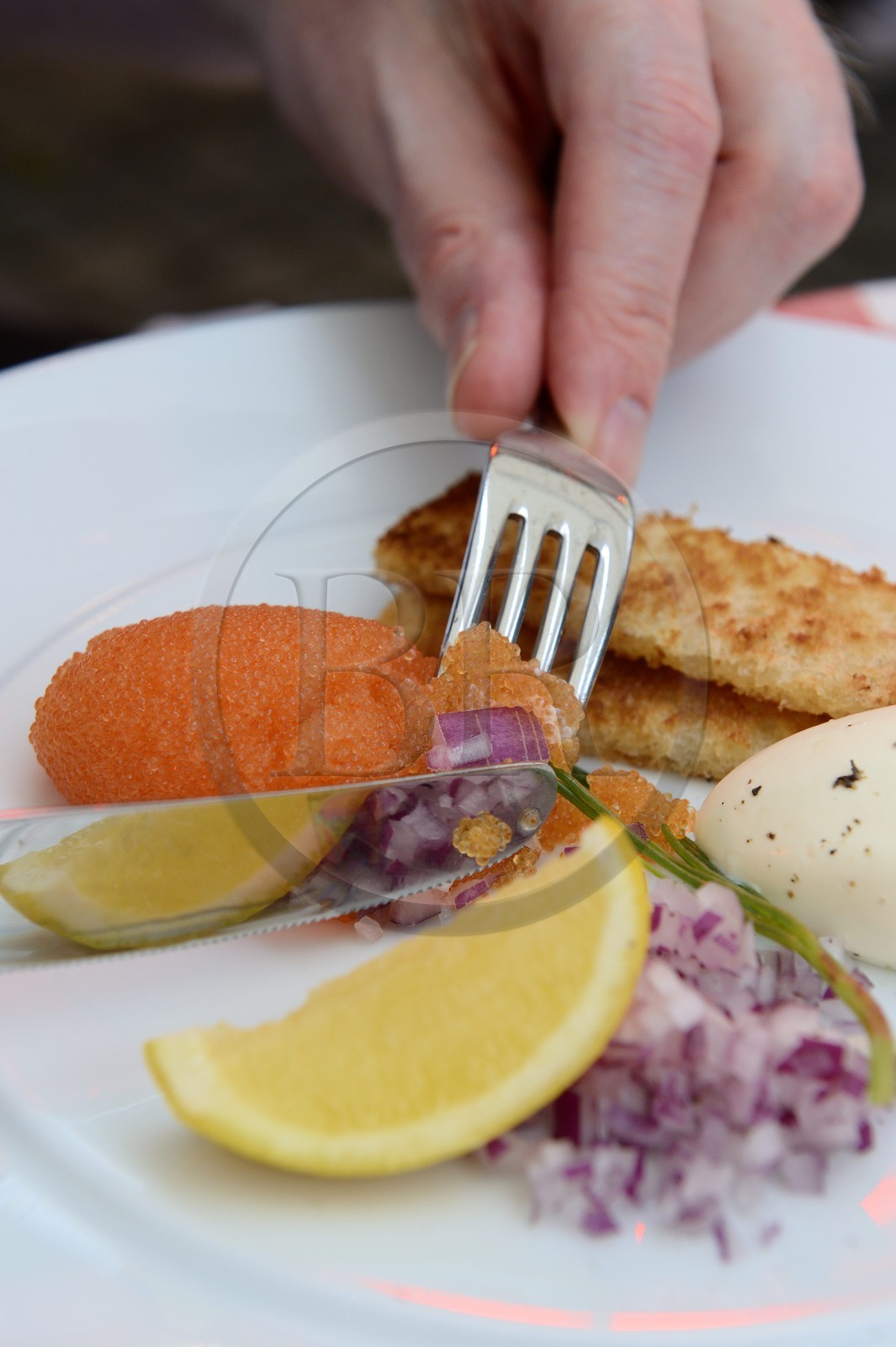 Sweden, Vasterbotten County, Umea, restaurant Rex, whitefish roe, classic trimmings and pan-fried bread