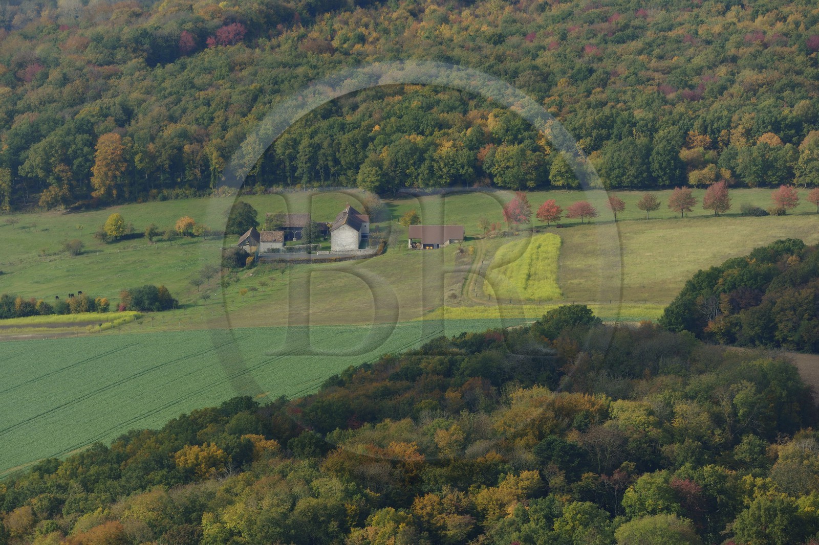 France, Val d'Oise, Chaussy, French Vexin regional natural park, farm