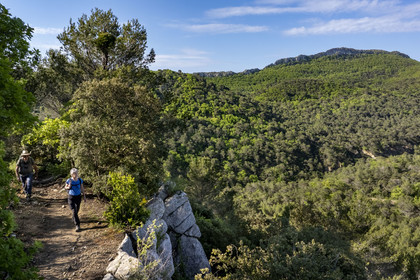 France, Vaucluse, Dentelles de Montmirail mountains, Crestet, the Saint-Amand ridge seen from the South from the GR de Pays towards the Croix de Verrière (aerial view)