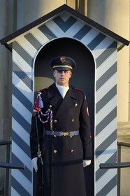 République Tchèque, Prague, Hradcany (quartier du chateau), garde à l'entrée du chateau royal