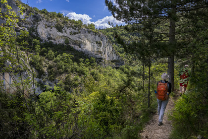 France, Vaucluse (84), Parc naturel régional du Mont Ventoux, Monieux, Gorges de La Nesque, randonneurs progressant sur un sentier sur les hauteurs face au barres rocheuses