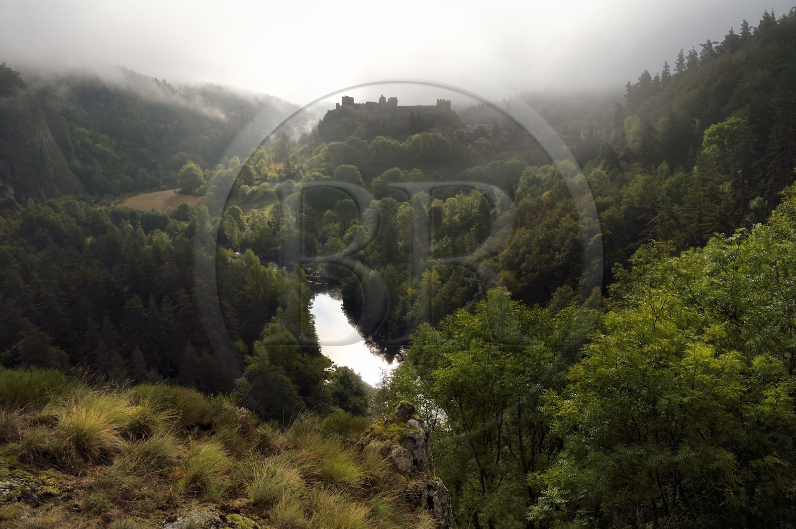 France, Haute Loire, Loire river Valley, Arlempdes, labelized the Most Beautiful Villages of France, ruins of the castle perched on a basalt rock overlooking a Loire river meander