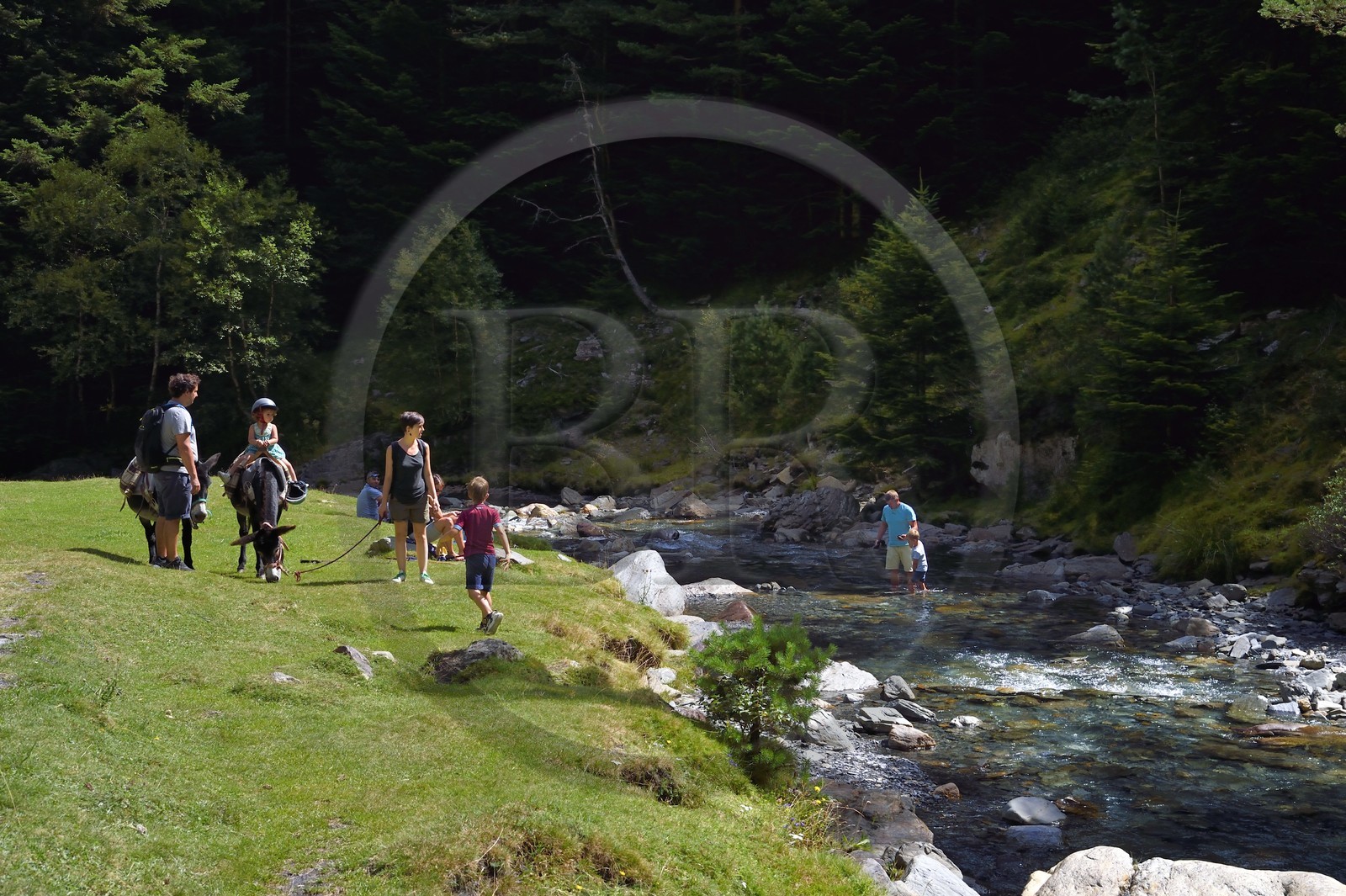 France, Hautes-Pyrénées (65), Saint-Lary-Soulan, vallée du Rioumajou, randonnée familiale avec un ane qui longe la (rivière) Neste de Rioumajou