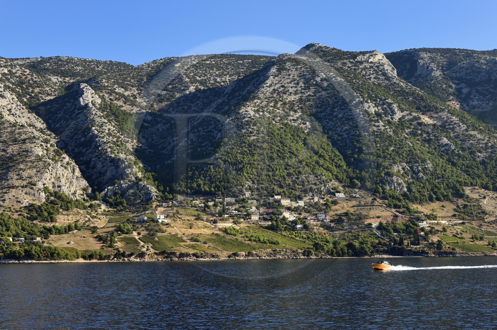 Croatie, Dalmatie, cote dalmate, cote sud de l'Ile de Brac, village de Murvica