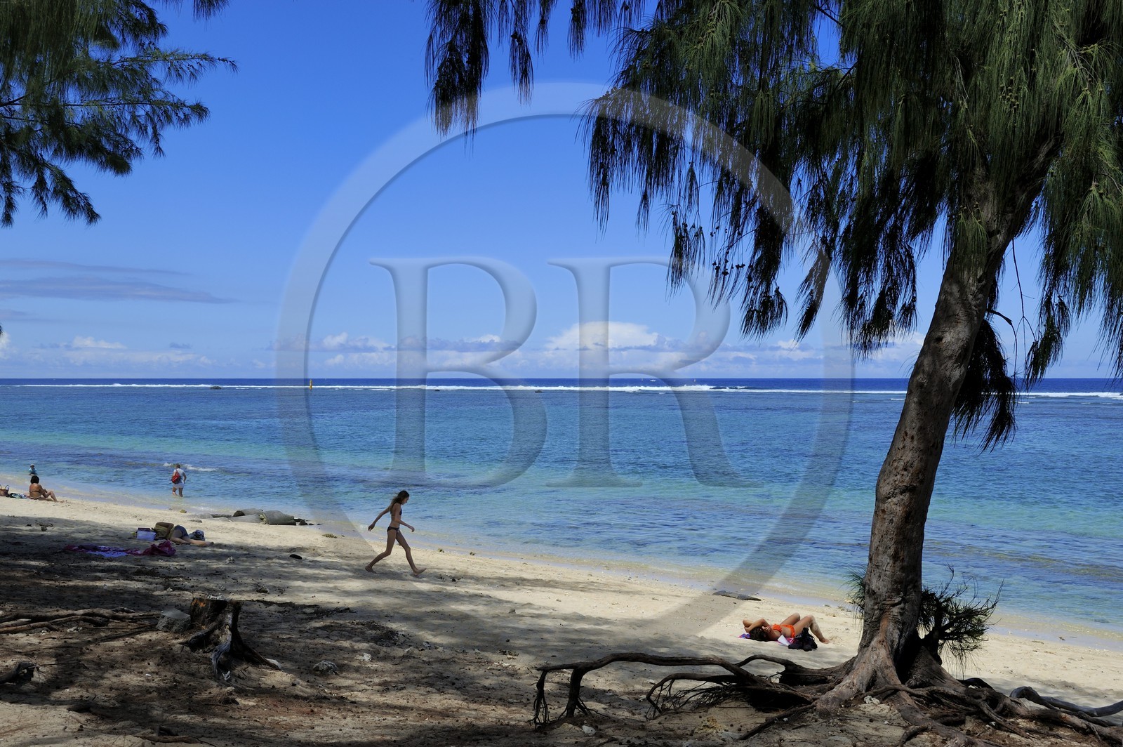 France, île de la Réunion, la Cote Ouest, plage du lagon de Saint-Gilles-Les-Bains à l'Ermitage-les-Bains et filaos