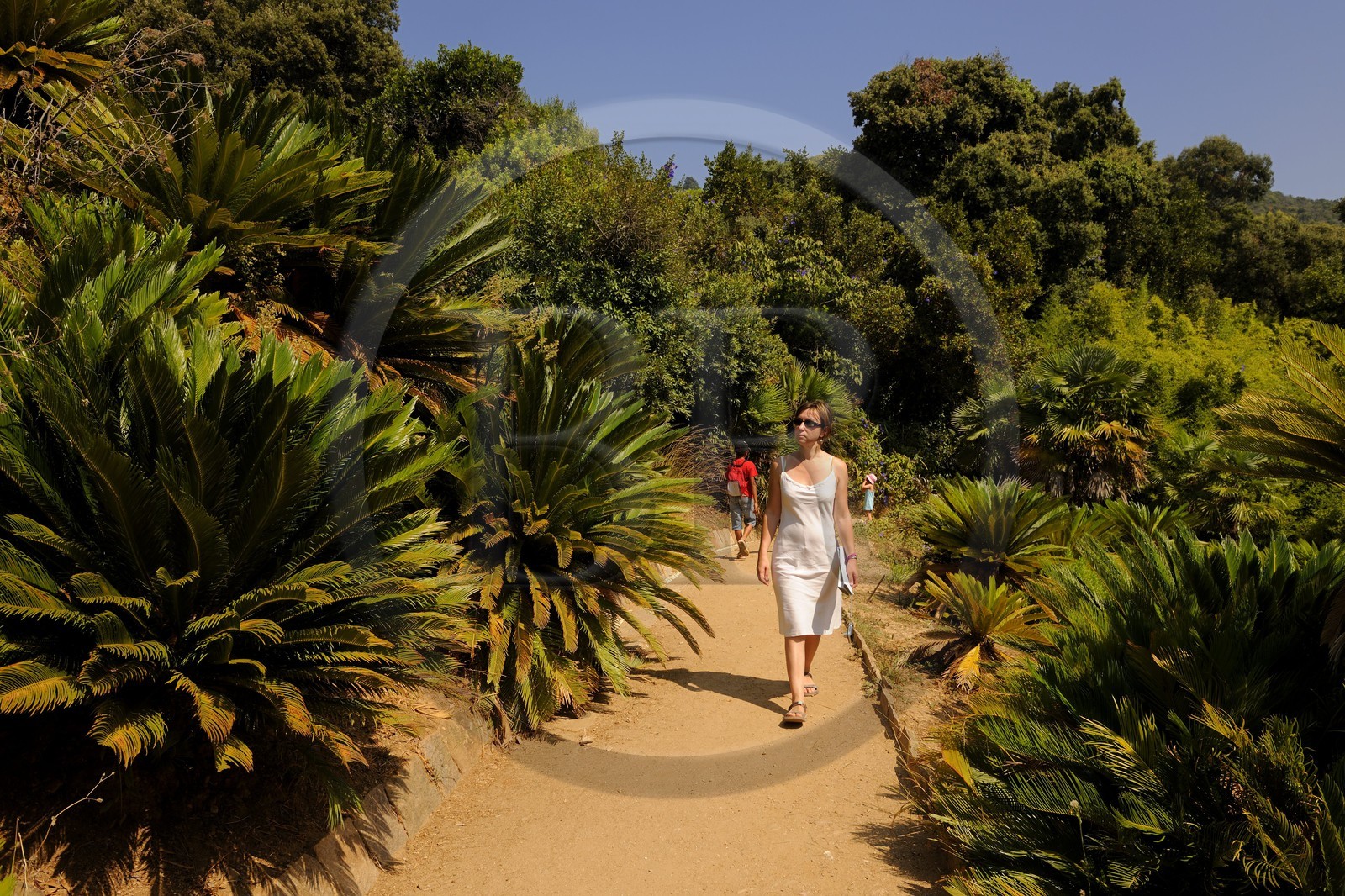 France, Var (83), Le Rayol-Canadel-sur-Mer, Domaine du Rayol, promenade au sein du Jardin des Méditerranées, propriété du Conservatoire du Littoral, mention obligatoire