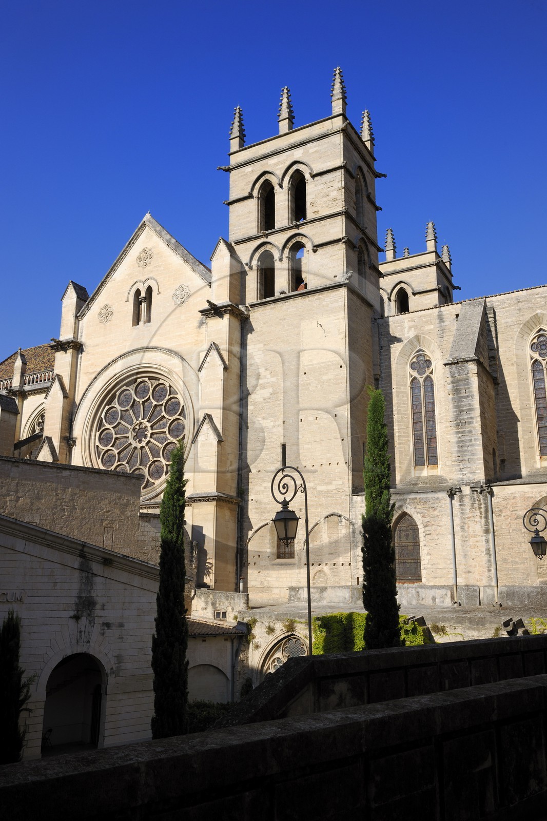 France, Hérault (34), Montpellier, centre historique, la cathédrale Saint Pierre