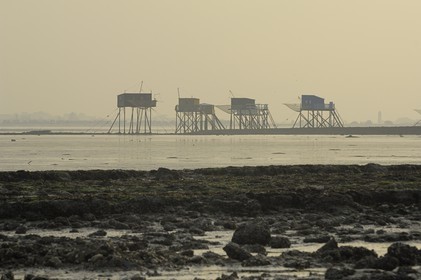 France, Charente-Maritime (17), Ile Madame, carrelets sur la côte
