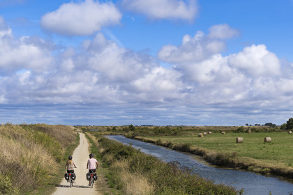 France, Vendée (85), île de Noirmoutier, Barbatre, cyclistes sur la piste cyclable qui suit la digue entre le Port de Bonhomme et le passage du Gois