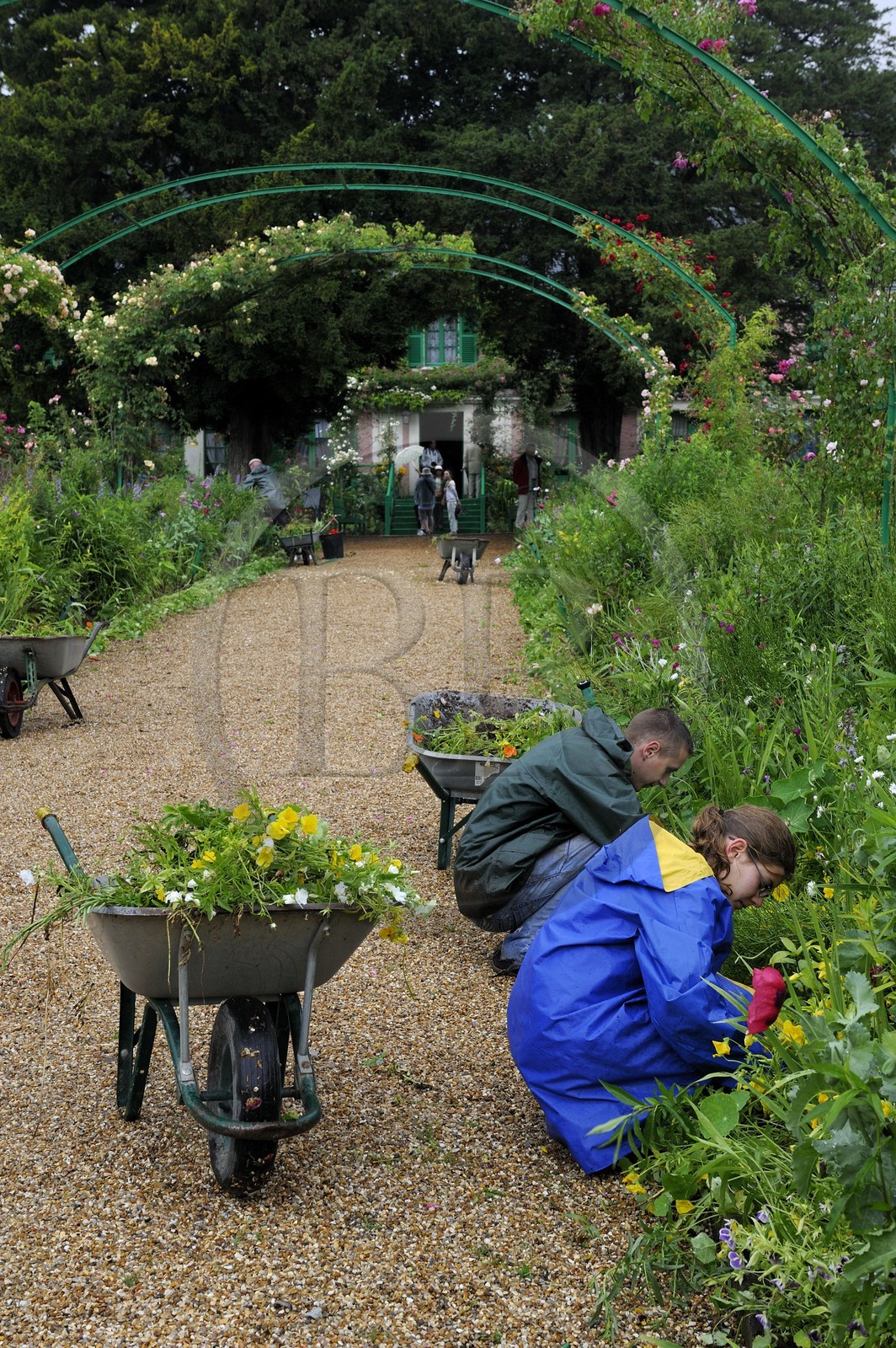 France, Eure (27), Giverny, le jardin de Claude Monet, la grand allée qui mène à la maison