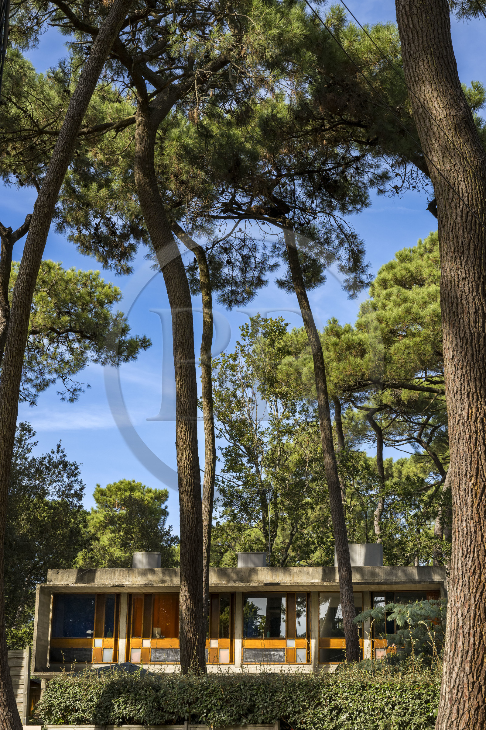 France, Loire Atlantique, Saint-Brévin-Les-Pins, Chupin villa by architect Wogenscky disciple of Le Corbusier in the heart of the pine forest
