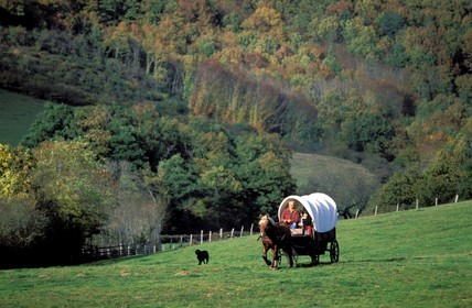 France, Saône-et-Loire (71), région du Morvan, roulotte traversant un pré, près de la Celle-en-Morvan
