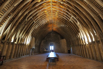 France, Loiret (45), Vallée de la Loire classée Patrimoine Mondial de l' UNESCO, Sully-sur-Loire, charpente, mention obligatoire : Châteaux de Sully-sur-Loire, propriété du département du Loiret