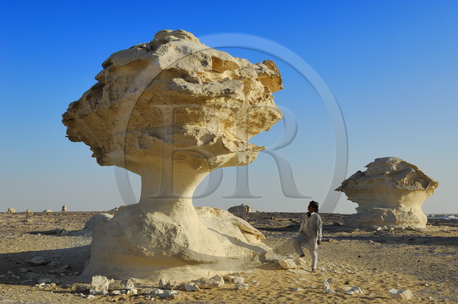 Egypte, désert libyque, le Désert Blanc au nord de Farafra