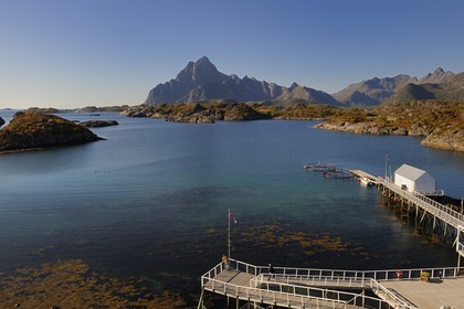 Norvège, Nordland, Iles Lofoten, Kabelvag - Storvagen, aquarium des Lofoten (Lofotakvariet)