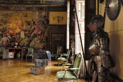France, Loir et Cher, Chateau de Cheverny, Tapestry of Frandre in the Weapons room