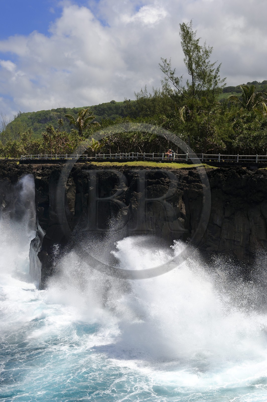 France, Ile de la Reunion, côte sud, Saint-Philippe, le Cap Méchant est situé le long d'une côte déchiquetée de roche volcanique frappée par la houle et typique de la région appelée Sud sauvage