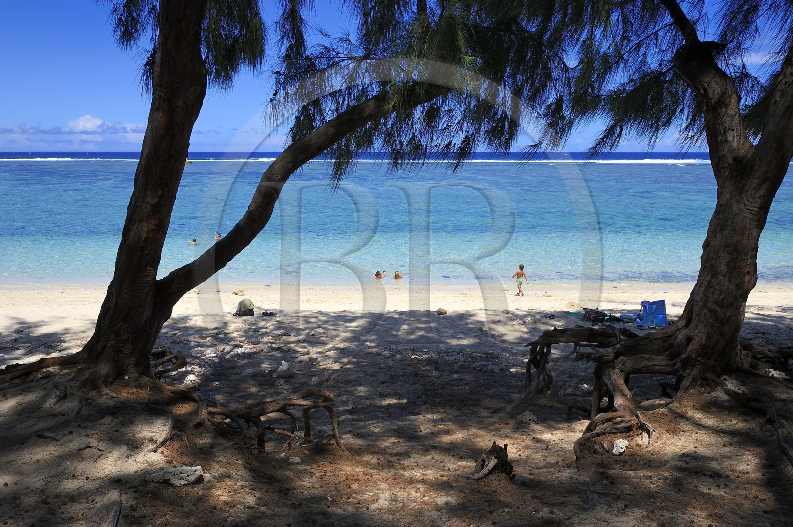 France, île de la Réunion, la Cote Ouest, plage du lagon de Saint-Gilles-Les-Bains à l'Ermitage-les-Bains et filaos