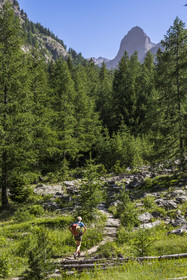 France, Alpes-Maritimes, Parc National du Mercantour (Mercantour national park), Haute Vesubie, Saint Martin Vesubie, Val du Haut Boréon, hike on the GR 52 towards the refuge of Cougourde, the border summit of Cougourde (2892m) in the background