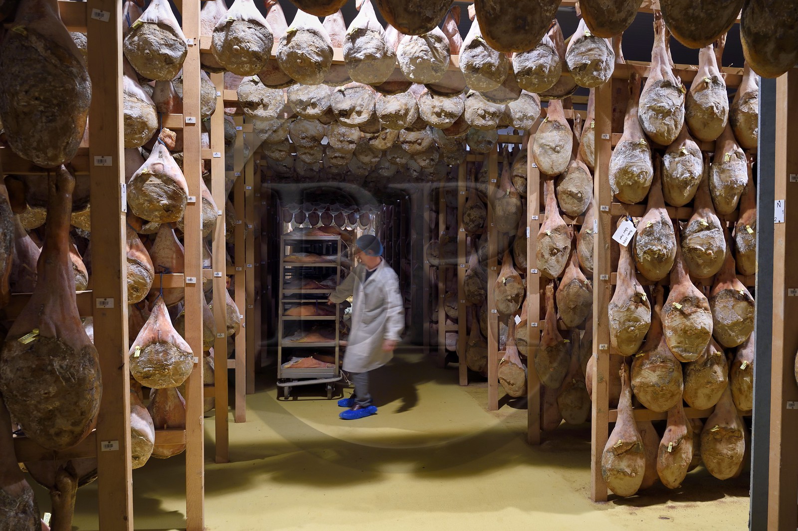 France, Pyrenees Atlantiques, Basque Country, Aldudes valley, the Aldudes collective dryer ensures the drying and the ripening of hams, ripening area