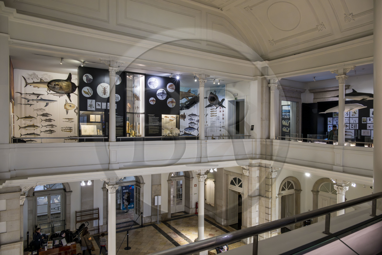 Portugal, Lisbonne, Musée national d'histoire naturelle et des sciences (Museu Nacional de Historia Natural e da Ciencia)