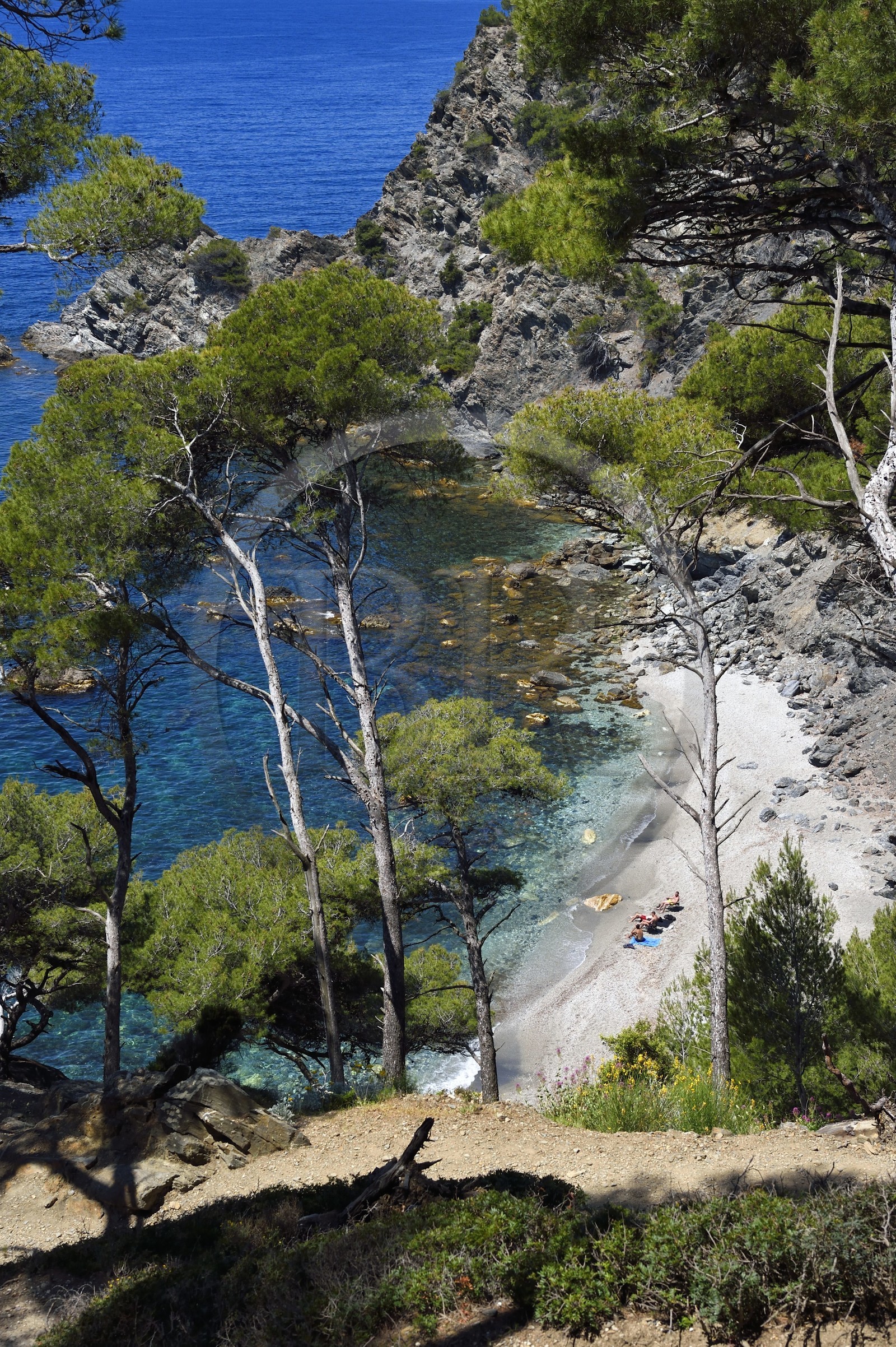 France, Var (83), Six-Fours-les-Plages, randonnée dans le massif du Cap Sicié, plage du Mont Salva vers Le Brusc