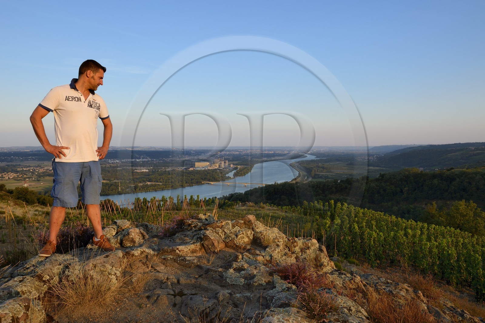 France, Loire (42), Parc Naturel Régional du Pilat, le domaine du Monteillet Stéphane Montez, Stéphane Montez dans ses vignes surplombant le Rhône, la centrale nucléaire de Saint Alban en arrière plan