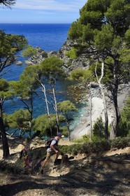 France, Var (83), Six-Fours-les-Plages, randonnée dans le massif du Cap Sicié, plage du Mont Salva vers Le Brusc