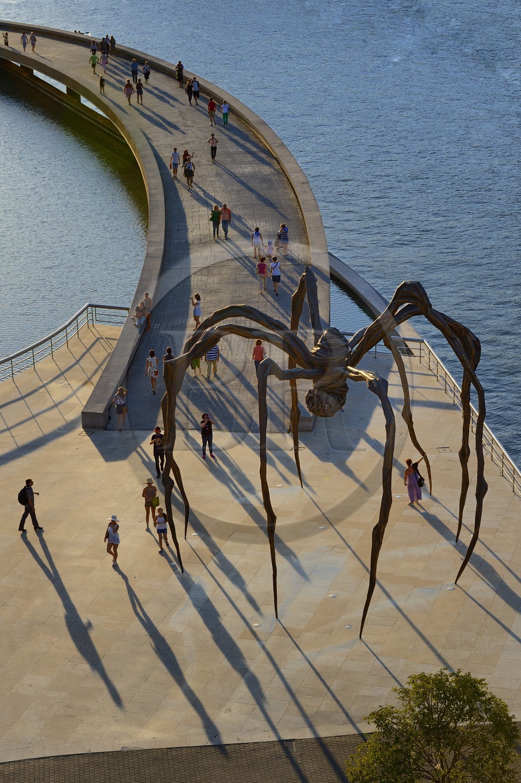 Espagne, Biscaye, Pays Basque espagnol, Bilbao, le musée Guggenheim de l'architecte Frank Gehry et la sculpture en forme d' Araignée de Louise Bourgeois intitulée Maman