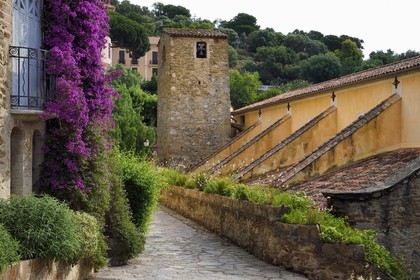 France, Var, Bormes les Mimosas, pedestrian street in the old town behind the Saint Trophyme church