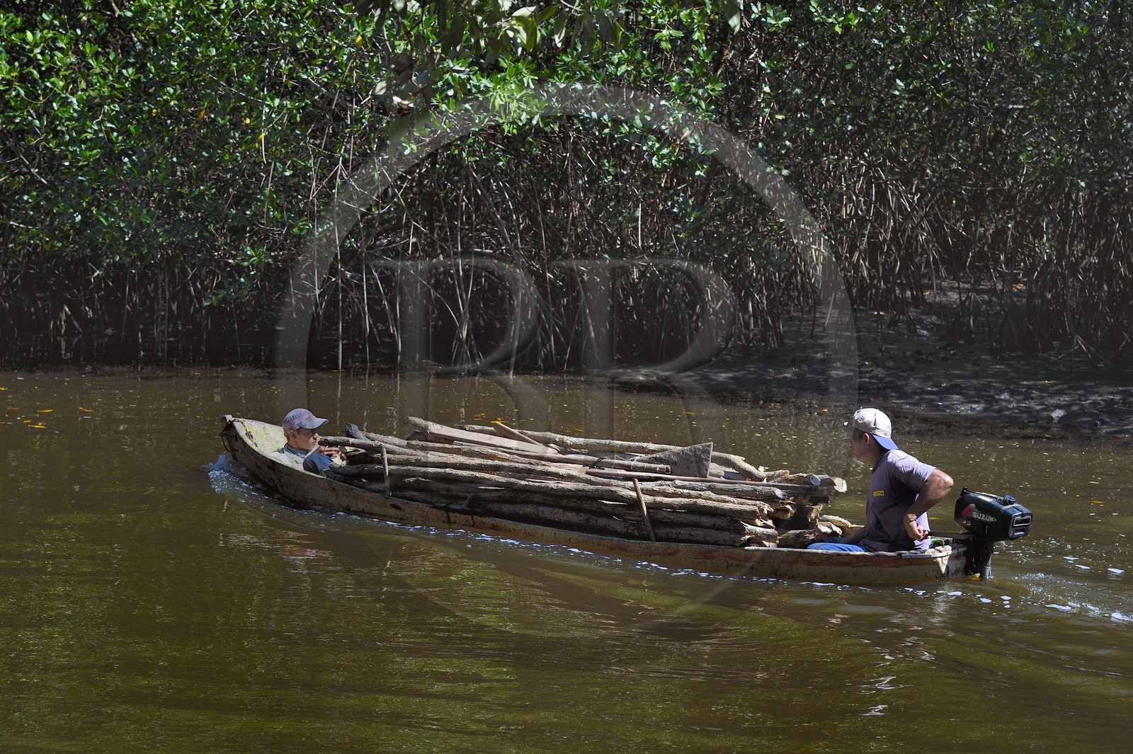 Nicaragua, the Pacific coast of Leon, wood loaded pirogue in the Isla Juan Venado Nature Reserve mangrove