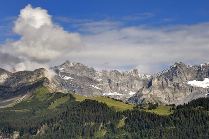 Suisse, canton de Vaud, Villars-sur-Ollon, panorama sur le massif de l'Argentine surplombant Solalex