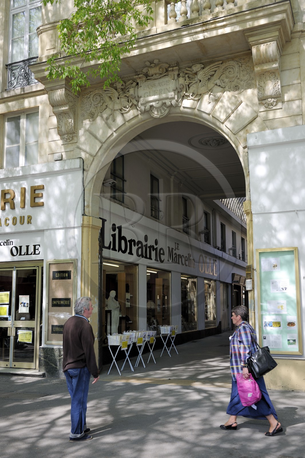 France, Gard, Nimes, Guerin passage built in 1872 on the Boulevard de l'Amiral Courbet