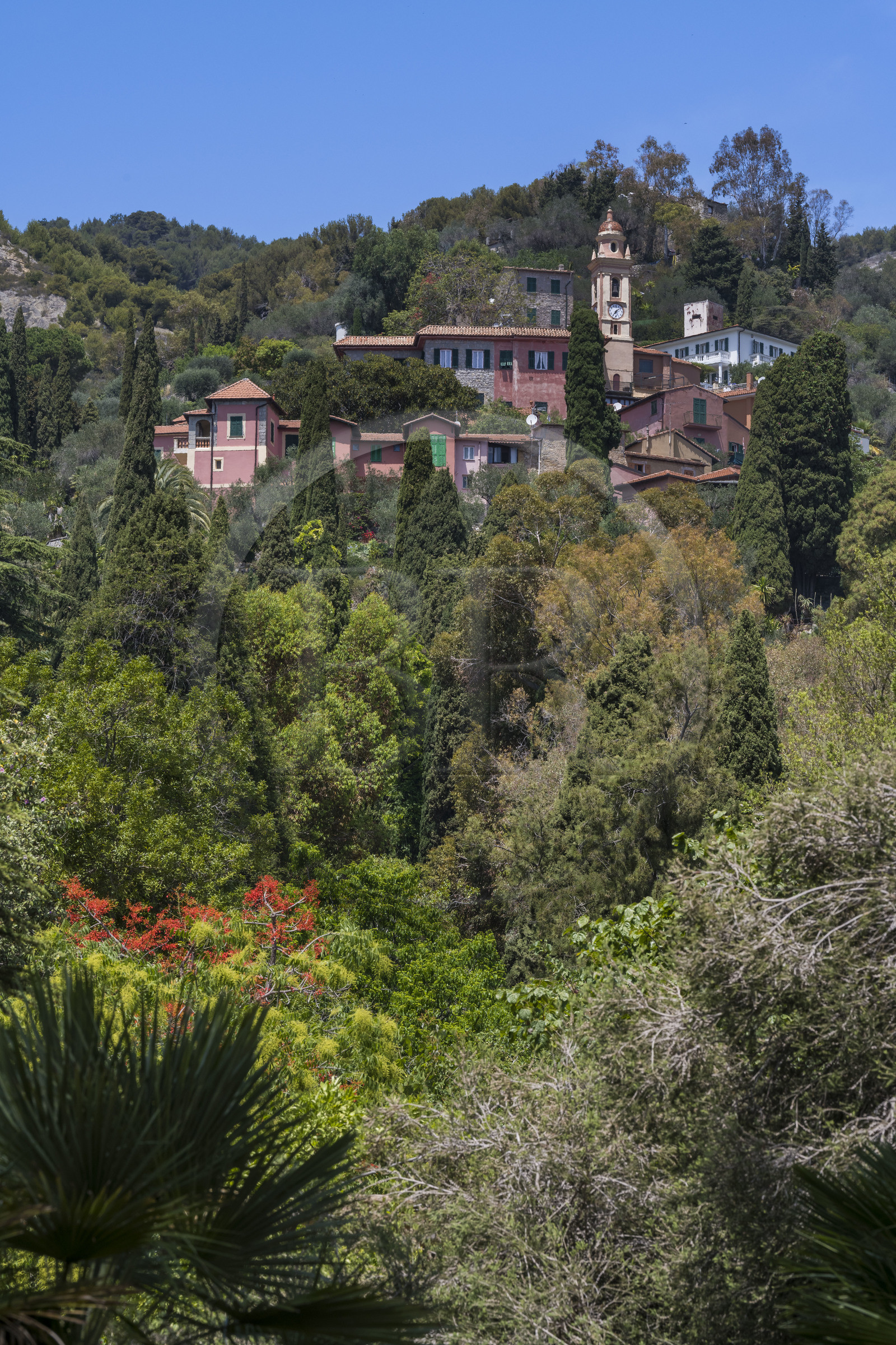 Italie, Ligurie, Province d'Imperia, Vintimille, hameau Mortola Inferiore situé au dessus du Jardin botanique Hanbury