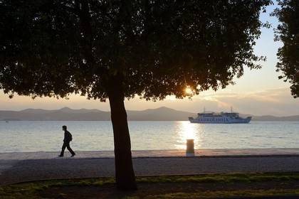 Croatie, Dalmatie, côte dalmate, Zadar, la Riva (promenade du bord de mer)
