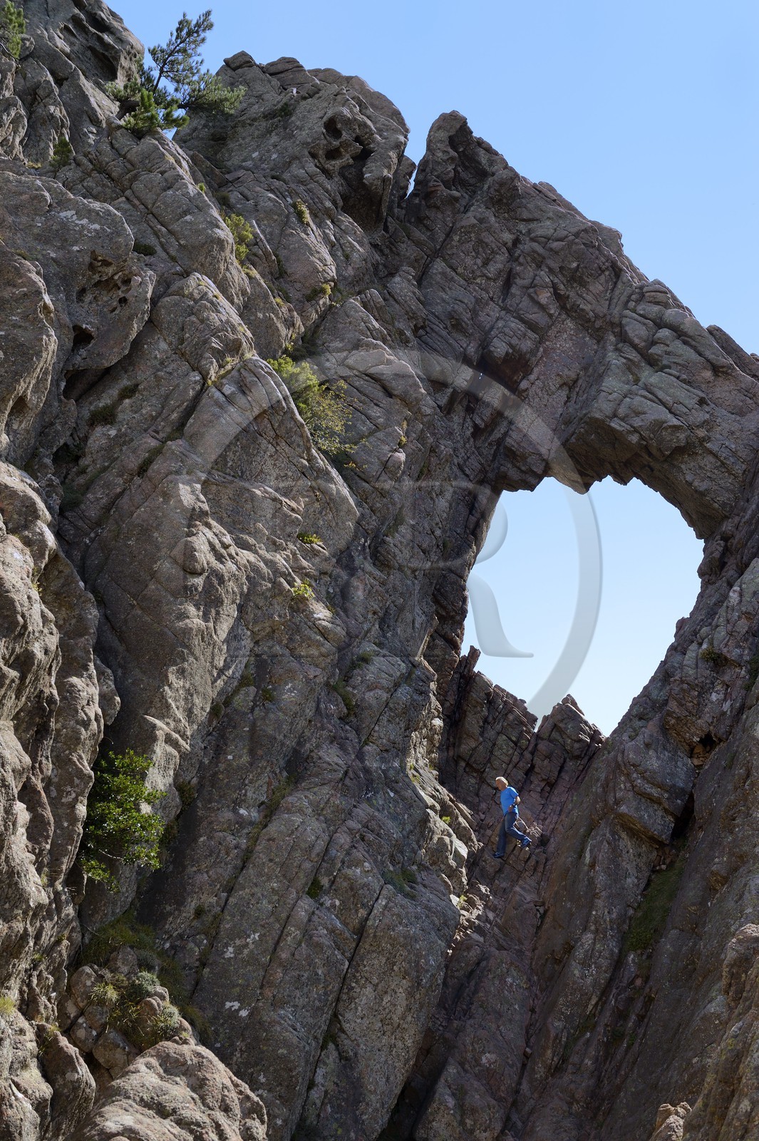 France, Corse-du-Sud (2A), Alta Rocca, Bavella, lieu dit du Trou de la Bombe appelé localement Tafonu di U Cumpuleddu (trou de l’enclos du berger)