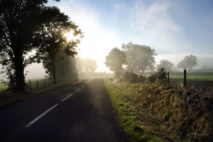 France, Haute-Loire (43), Ussel, route de campagne dans la brume estivale du matin