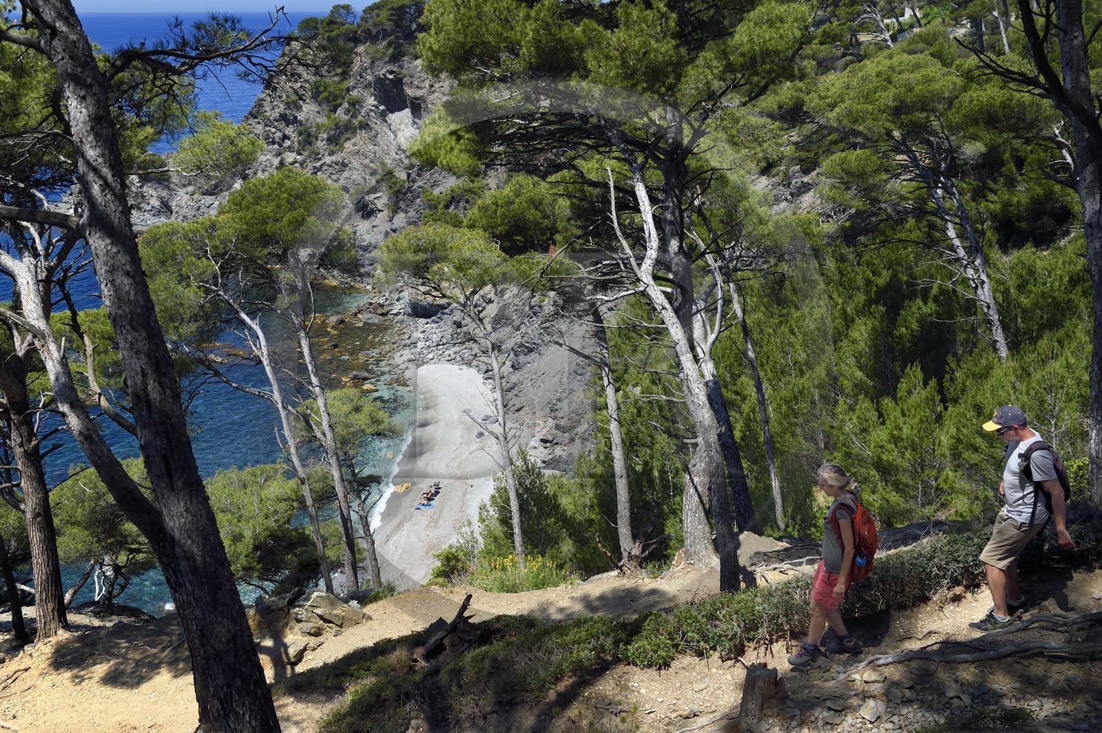 France, Var (83), Six-Fours-les-Plages, randonnée dans le massif du Cap Sicié, plage du Mont Salva vers Le Brusc