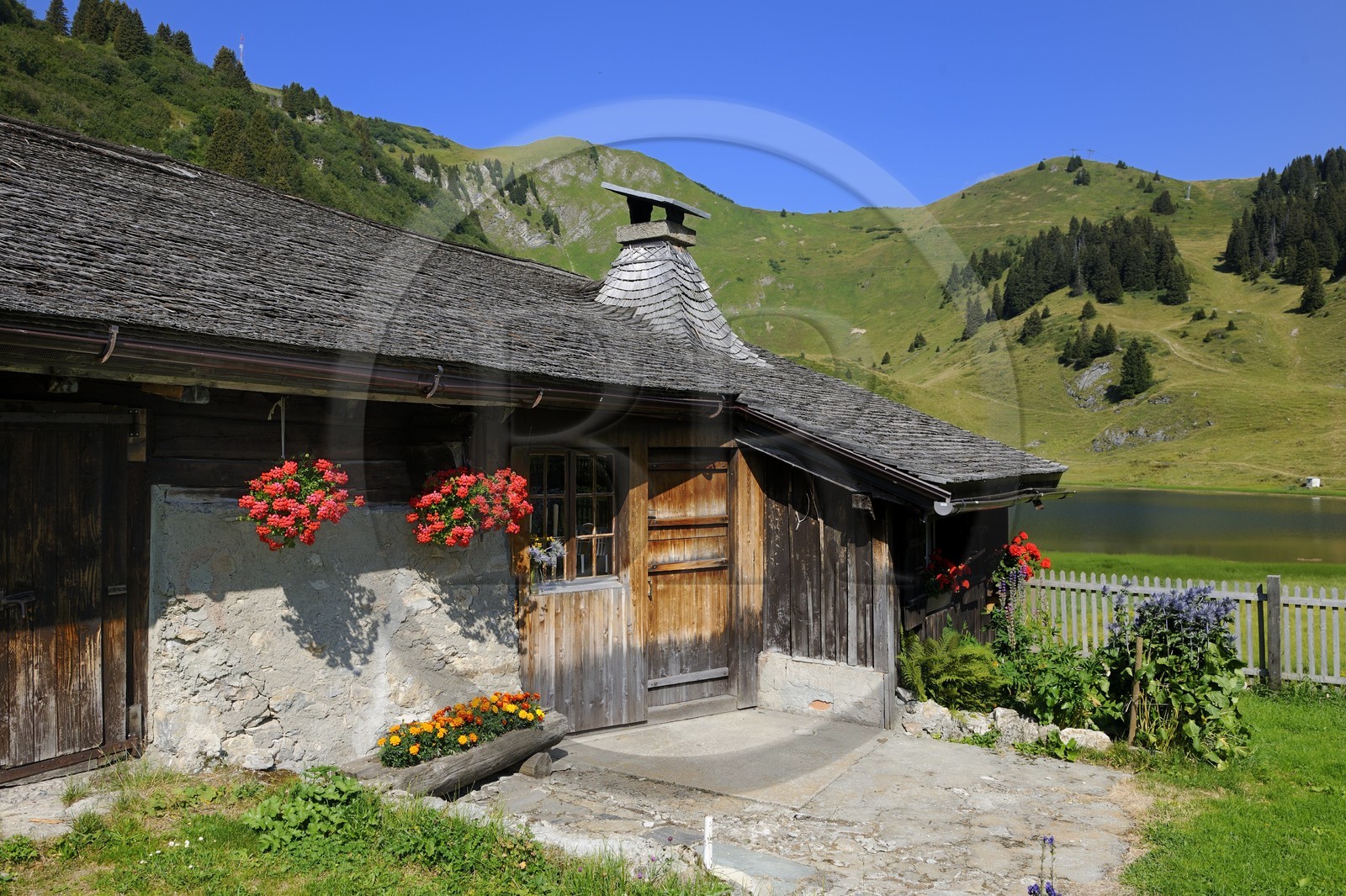 Suisse, Canton de Vaud, Villars sur Ollon, hameau de Bretaye