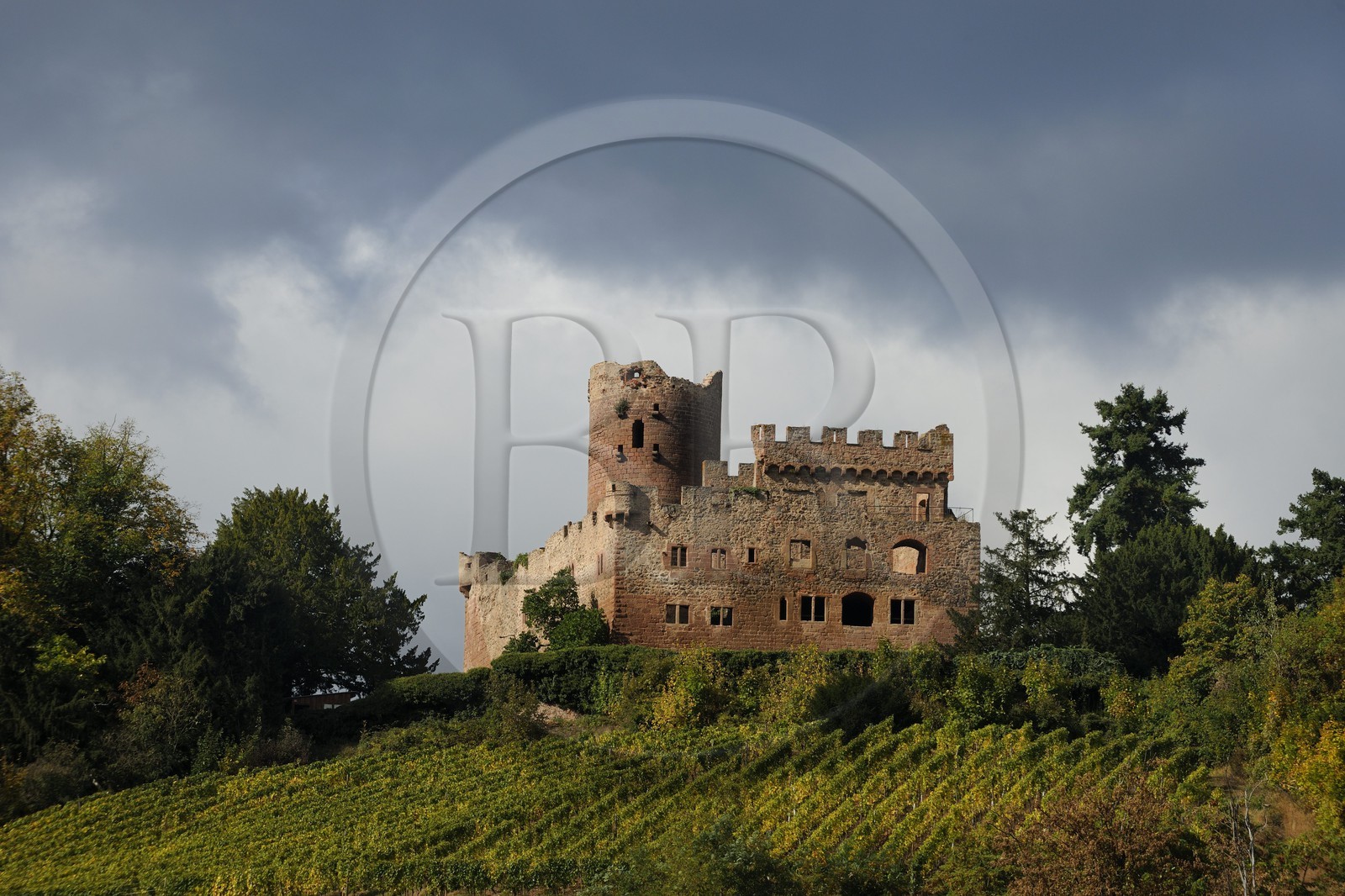 France, Bas-Rhin (67), château de Kintzheim et son vignoble