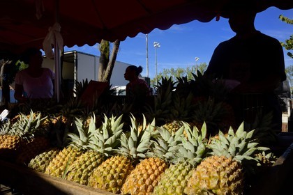 France, Ile de la Reunion, Saint-Pierre, le marché du samedi, les étals d'ananas Victoria