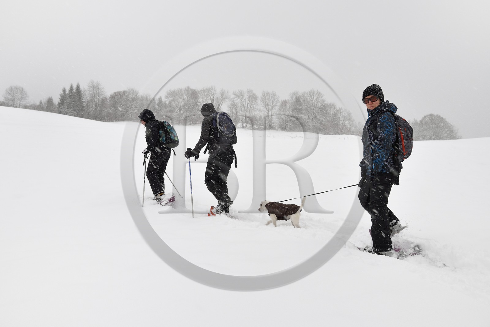 France, Haute-Savoie (74), Arâches-la-Frasse, station de ski Les Carroz d'Arâches, randonnée en raquettes