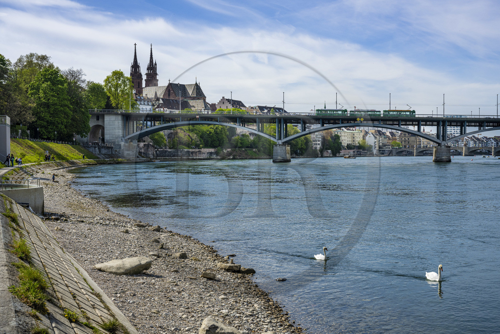 Suisse, Bâle, la rive gauche du Rhin et la Wettsteinbrucke, la cathédrale protestante Notre-Dame de Bâle (Munster) en arrière plan