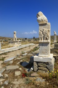 Grèce, île de Delos, classée Patrimoine Mondial de l'UNESCO, site archéologique de Délos, sanctuaire d'Apollon, la plus grande cité antique de la mer Egée, colonne avec phallus au Stoivadeion