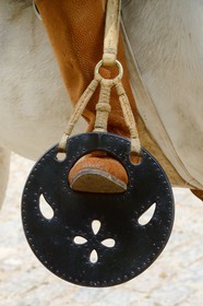 Argentina, Buenos Aires Province, San Antonio de Areco, Tradition Day festival (Dia de Tradicion), traditional leather stirrup