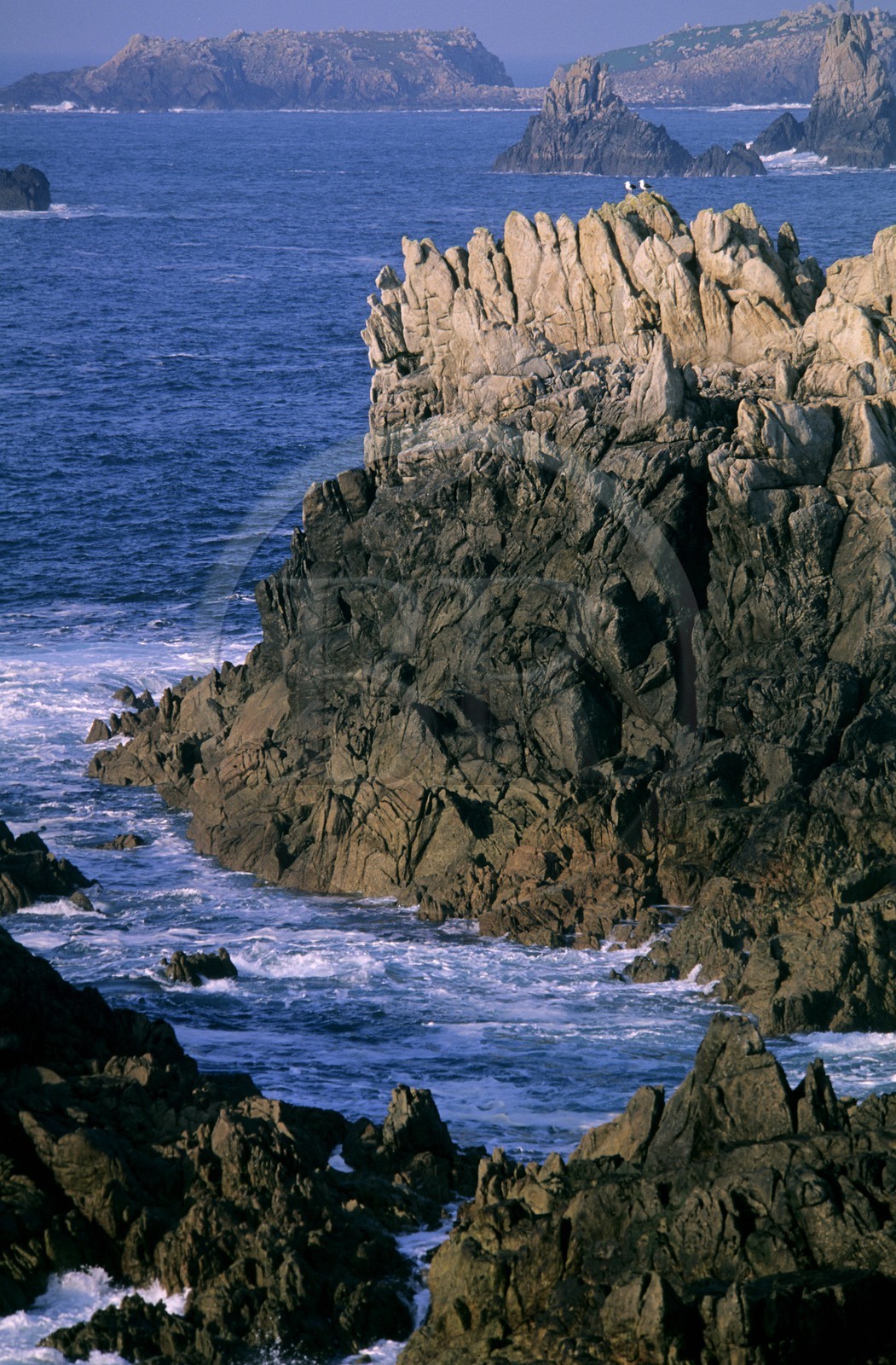 France, Finistère (29), île d'Ouessant, rochers de la côte ouest