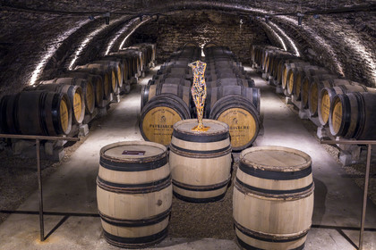 France, Cote d'Or, Climats terroirs of Burgundy listed as World Heritage by UNESCO, Beaune, the cellars of Maison Patriarche, a wine merchant-breeder company, interspersed with contemporary works of art from the In Situ gallery, Venus of October (2008) by the artist Alessandro Montalbano