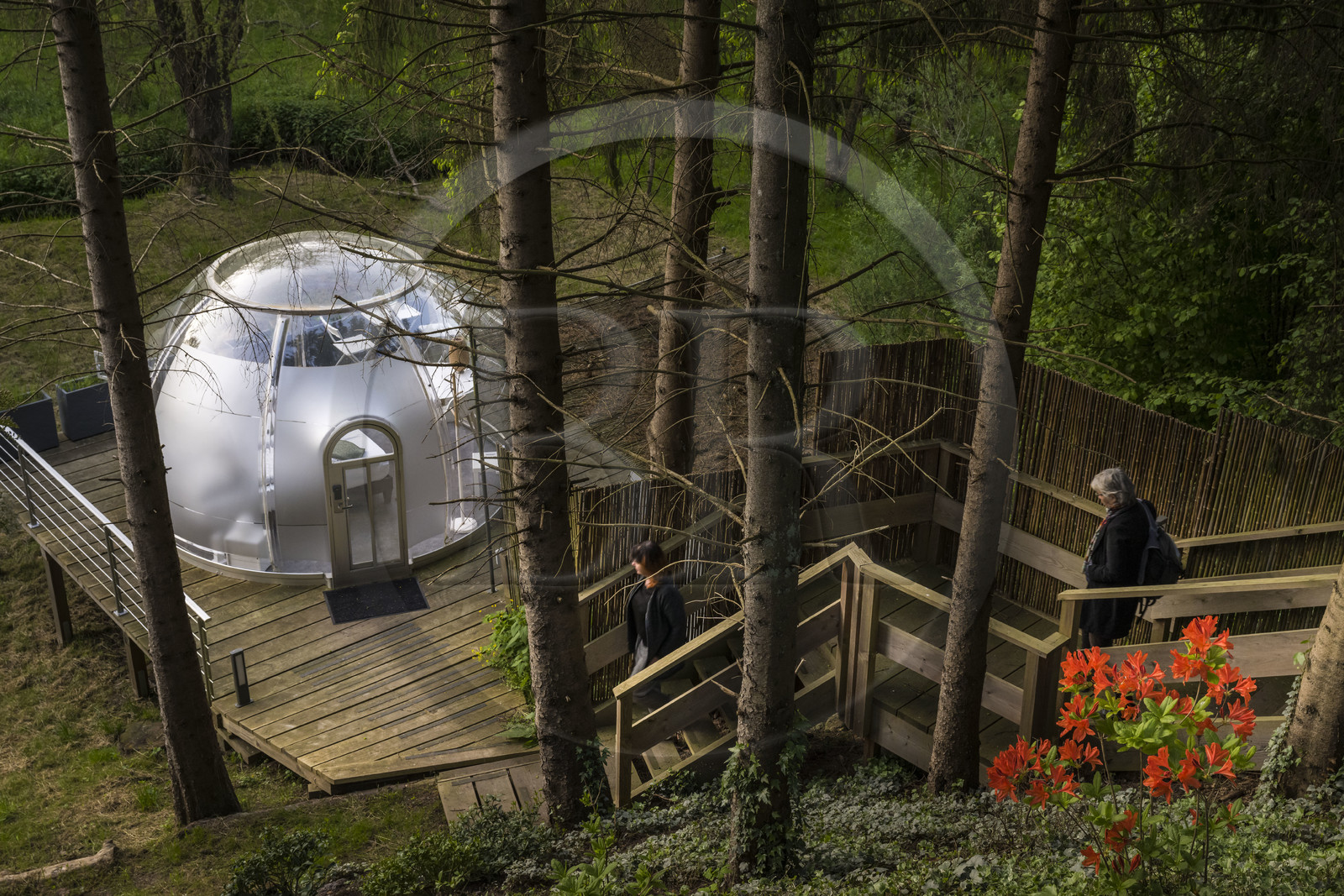 France, Moselle (57), Parc régional des Vosges du nord, Siersthal – Holbach près de Bitche, chambres d'Hôtes la Grange d’Hélène, la bulle rigide